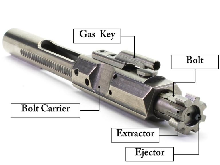 BCG labeled